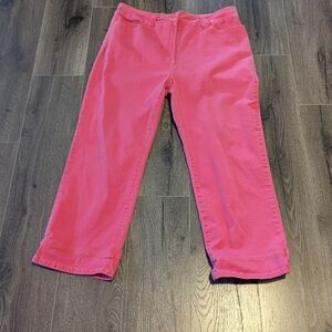 Jeanne Pierre Pink High Waist Women’s Pants. Size 16 GUC .